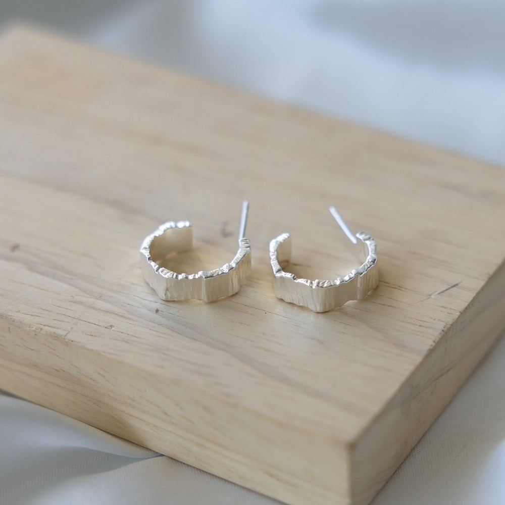 Boucles d'oreilles Novera - Couleur : Argent